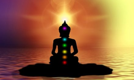 The Seven Major Chakras In The Human Body And Their Senses