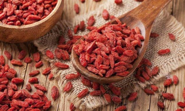 The Incredible Health Benefits of Goji Berry