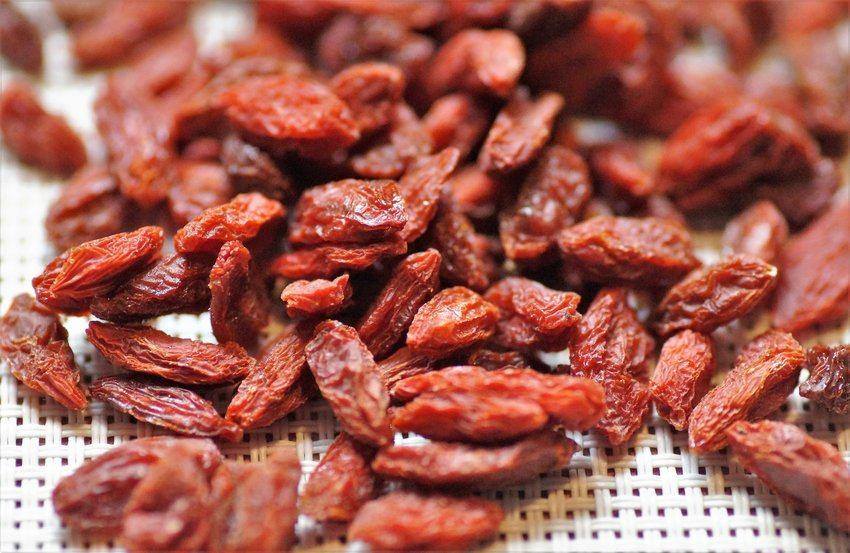 goji berry-dried