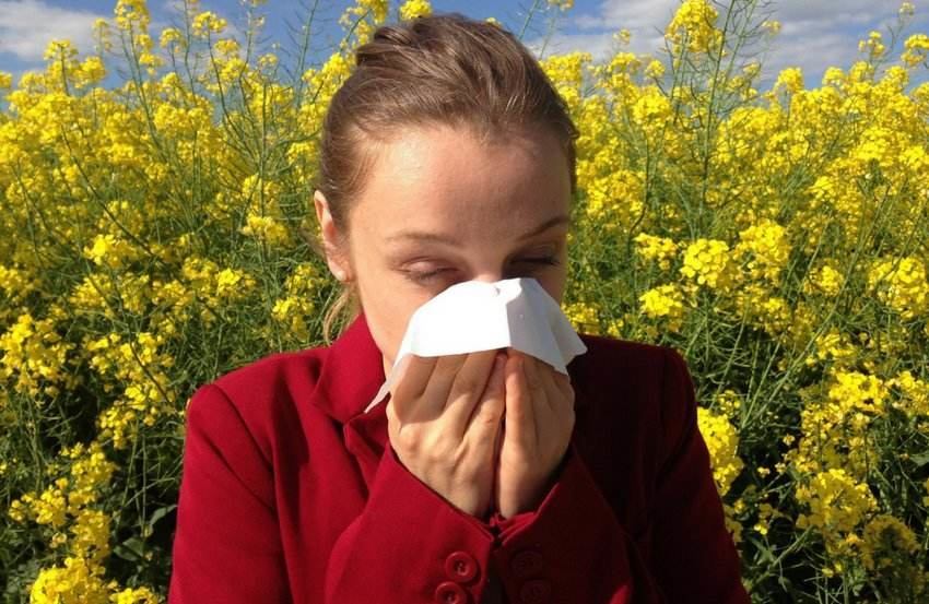 allergy